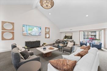 A living room with a grey couch and a white couch.